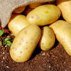 VIP Aardappelen