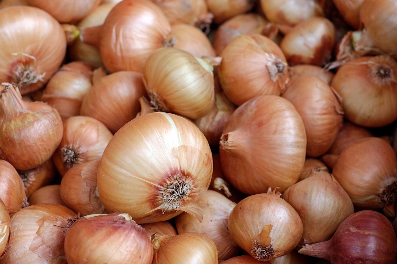 Uien (rood en geel)