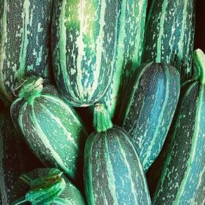Courgette